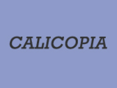 Calicopia