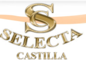Selecta Castilla