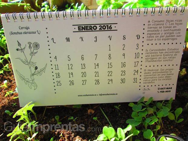Calendario mensual interior